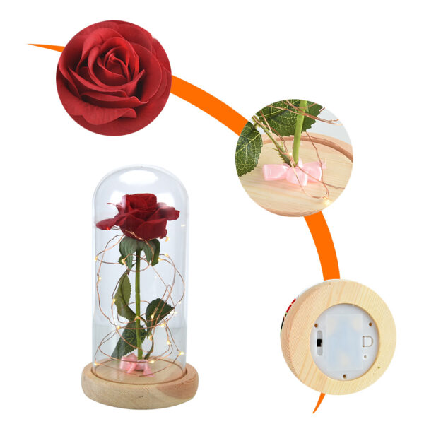 Beauty-and-the-Beast-Red-Rose-in-a-Glass-Dome-on-a-Wooden-Base-for-Valentine-8.jpg