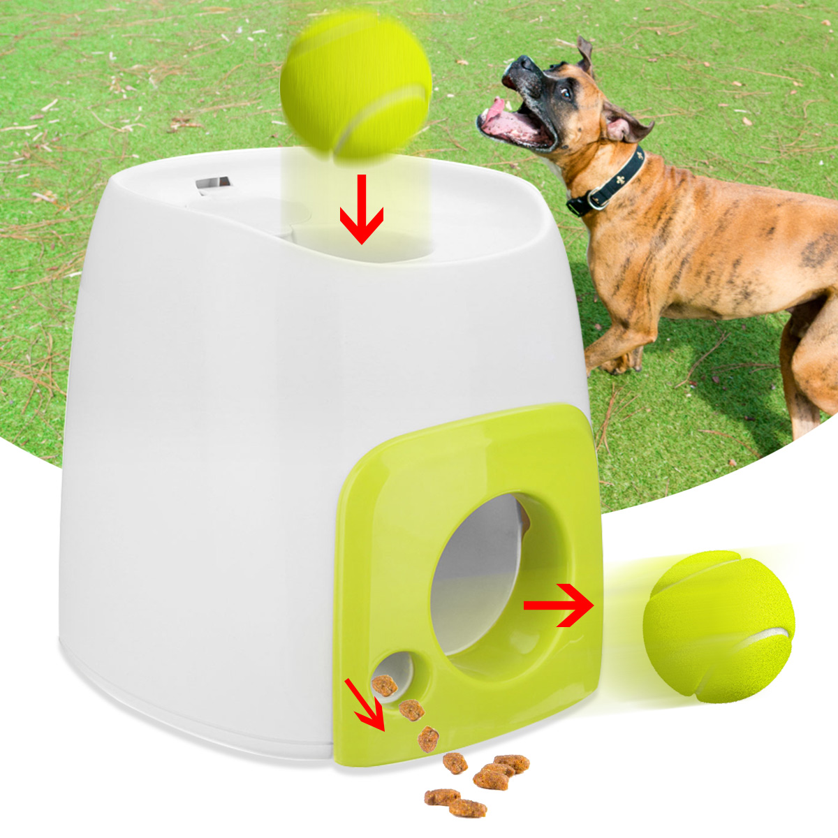 automatic tennis ball thrower for dogs