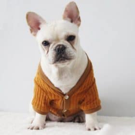 BENMEI Gentleman Knitted Warm Dog Coat Jacket For Big Dogs Spring Autumn Winter Bulldog Pet Dog 2 510x510 1