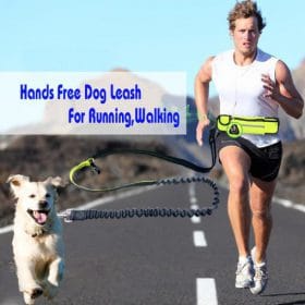 Hand Free Elastic Dog Leash Adjustable Padded Waist Reflective Running Jogging Walking Pet Lead Belt With 510x510