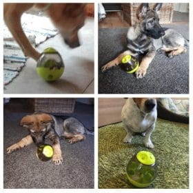 Igračke za kućne ljubimce Tumbler Leakage Ball Dog Bite Toy Uklonjivi psi Dozator curenja Proizvodi za žvakanje za 5 510x510