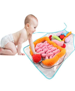 kids anatomy toy