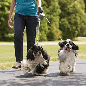 Dog Leash For Two, Dog Leash For Two