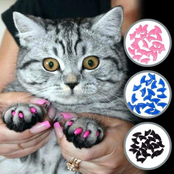 Cat Nail Caps