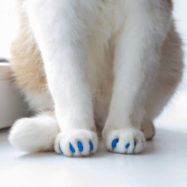 happy toebeans cat nail caps 4 1024x1024@2x