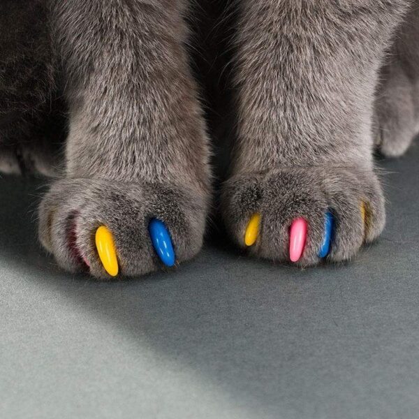 happy toebeans cat nail caps