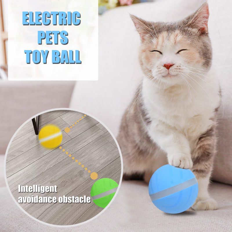 Led Pet Motion Ball - Not Sold In Stores