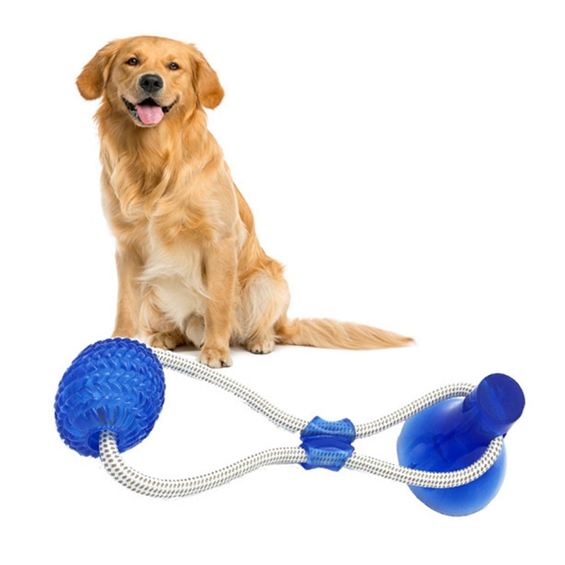 dog tug toy that suctions to floor