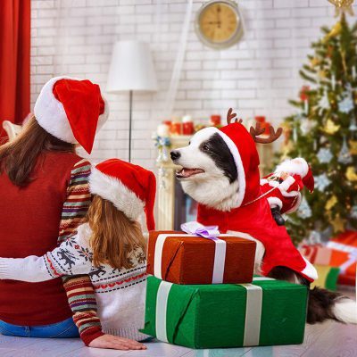 Christmas Dog Clothes Santa Dog Costumes Holiday Party Dressing up Clothing for Smal Medium Large Dogs 3 400x400 2