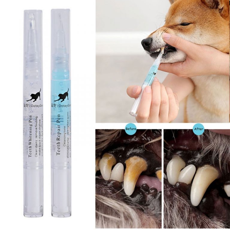 Pets Teeth Cleaning Pen - Not sold in stores