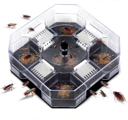 Reusable Cockroach Trap – Joopzy